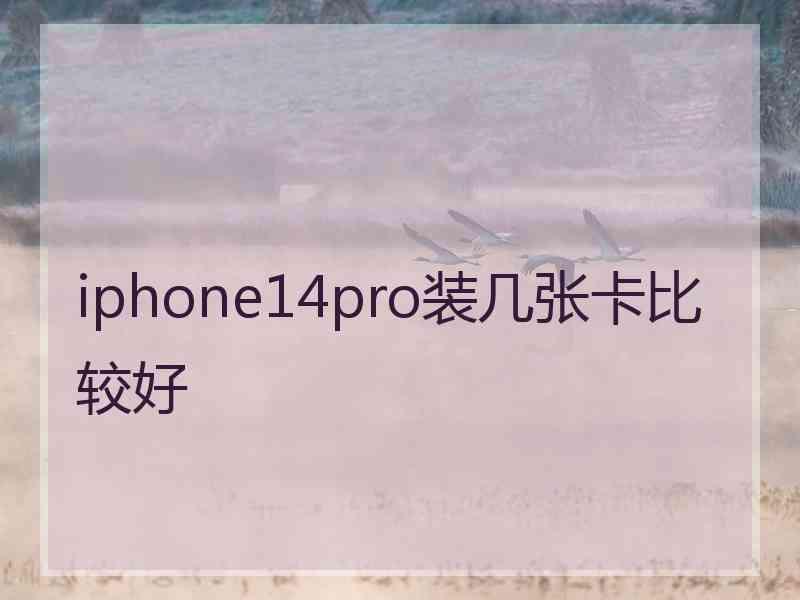 iphone14pro装几张卡比较好