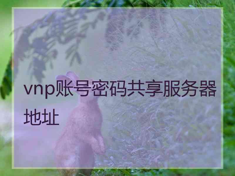 vnp账号密码共享服务器地址