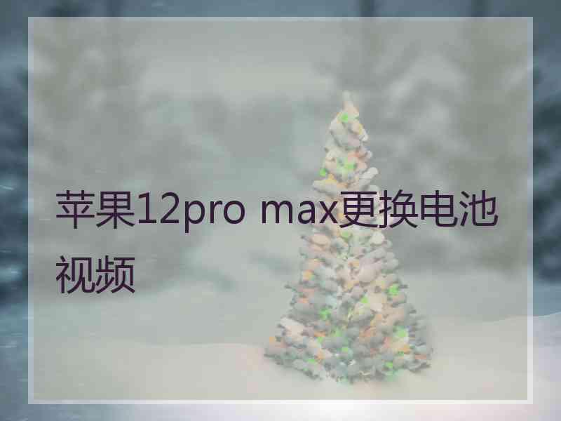 苹果12pro max更换电池视频