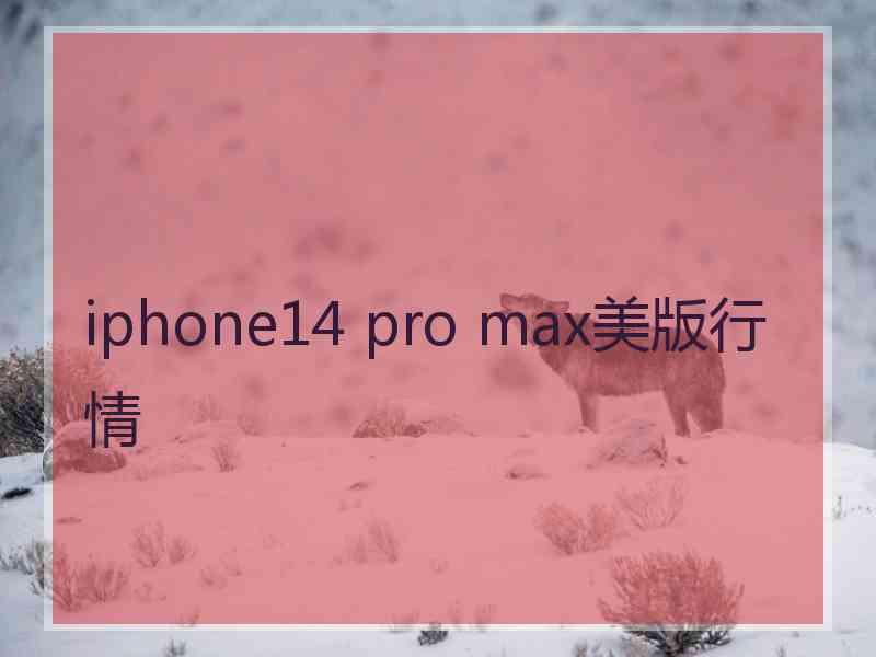 iphone14 pro max美版行情