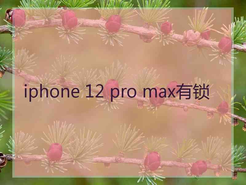 iphone 12 pro max有锁