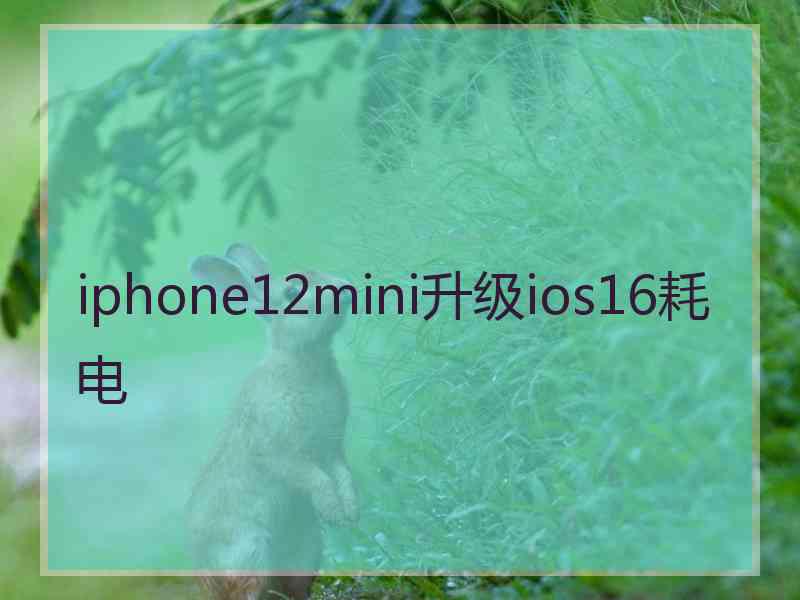 iphone12mini升级ios16耗电