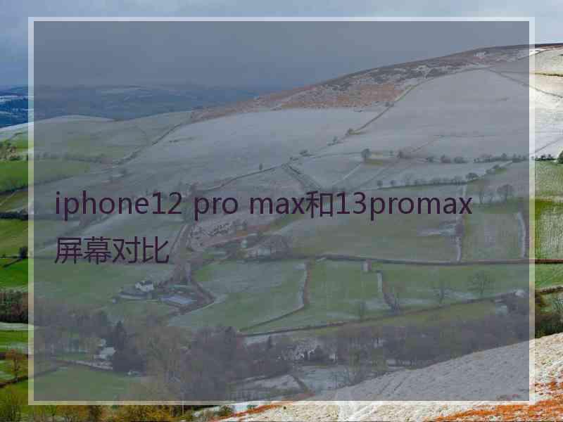 iphone12 pro max和13promax屏幕对比