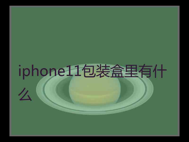 iphone11包装盒里有什么