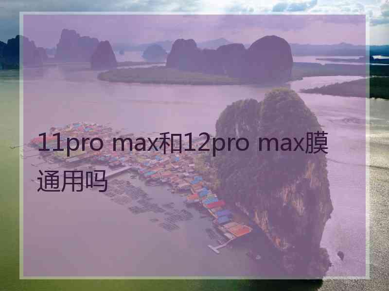 11pro max和12pro max膜通用吗