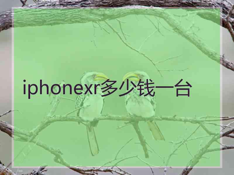 iphonexr多少钱一台