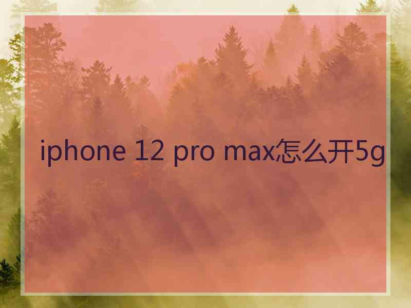 iphone 12 pro max怎么开5g