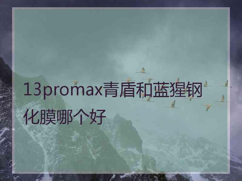 13promax青盾和蓝猩钢化膜哪个好