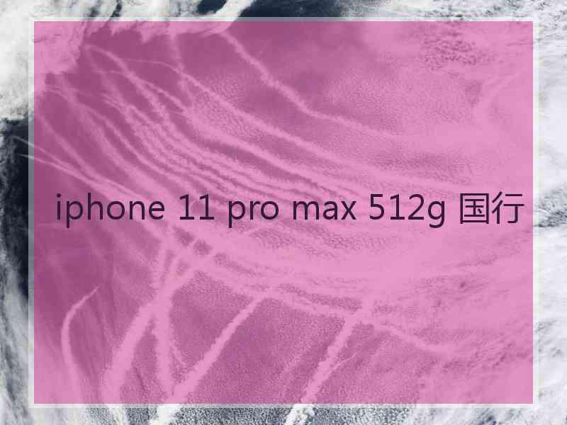 iphone 11 pro max 512g 国行