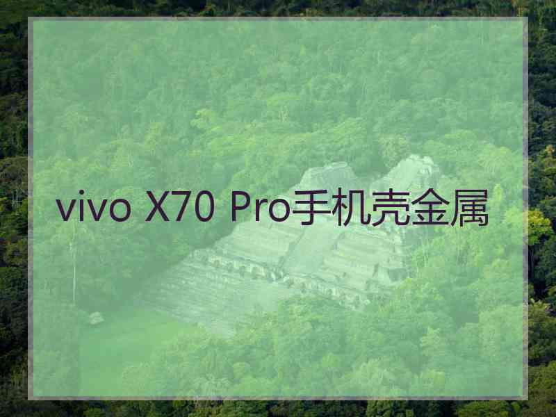 vivo X70 Pro手机壳金属