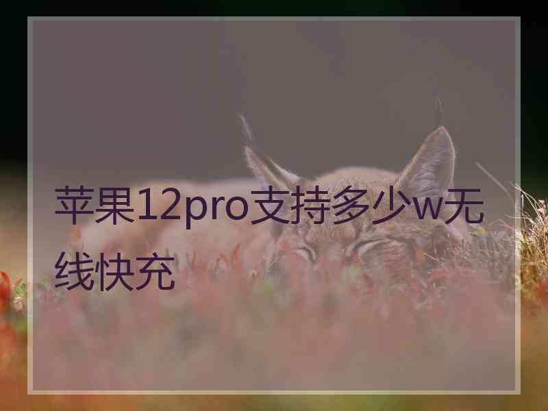 苹果12pro支持多少w无线快充