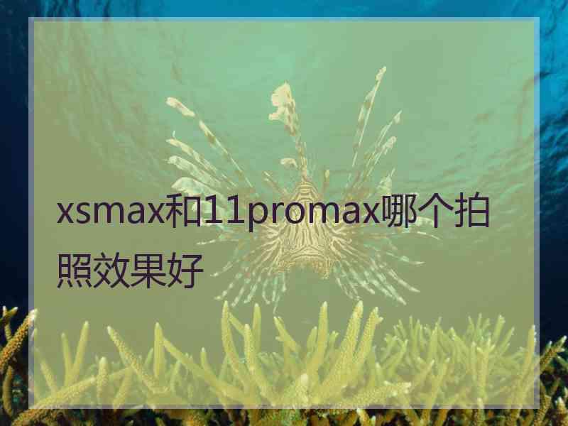 xsmax和11promax哪个拍照效果好