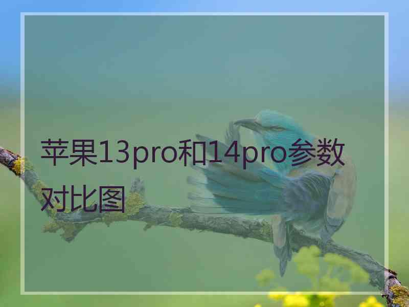 苹果13pro和14pro参数对比图