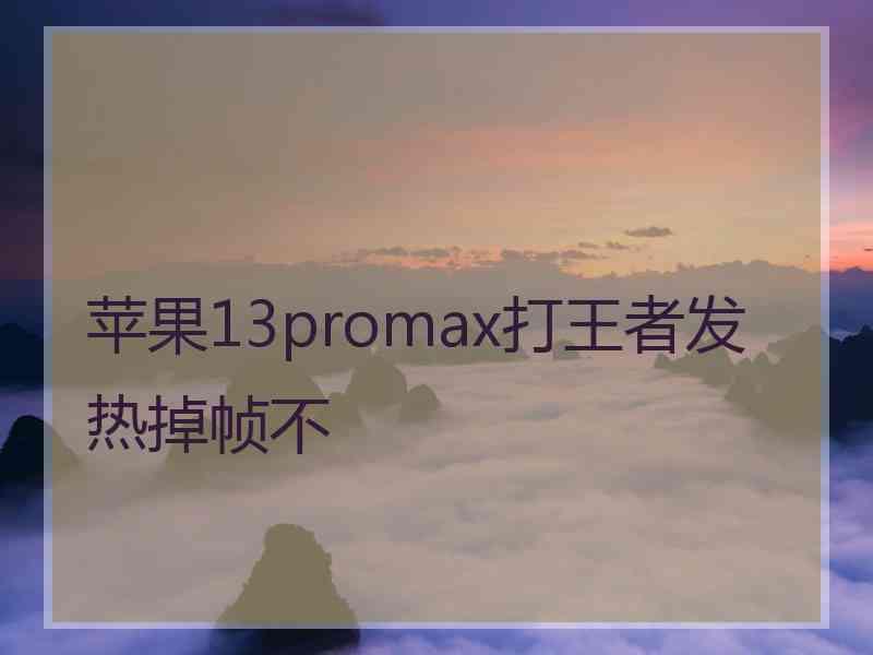 苹果13promax打王者发热掉帧不