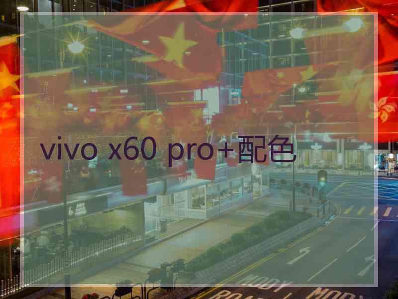 vivo x60 pro+配色