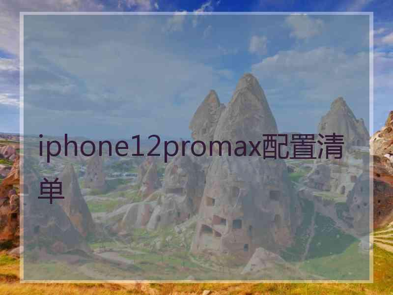 iphone12promax配置清单