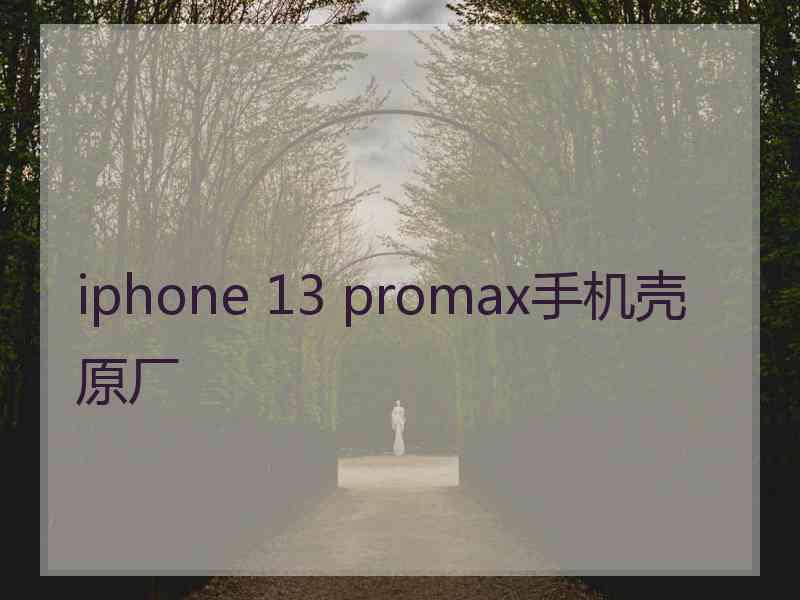 iphone 13 promax手机壳原厂