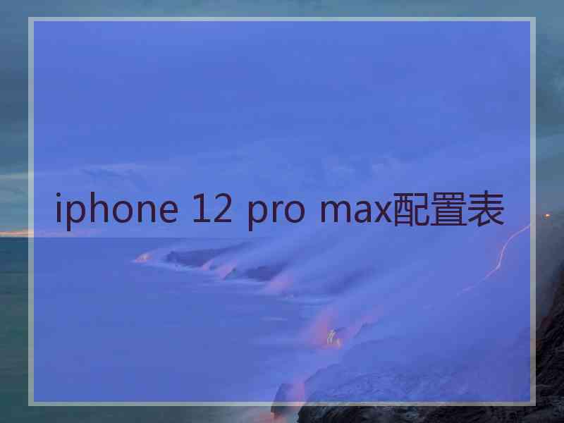 iphone 12 pro max配置表