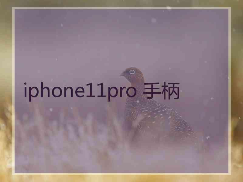 iphone11pro 手柄