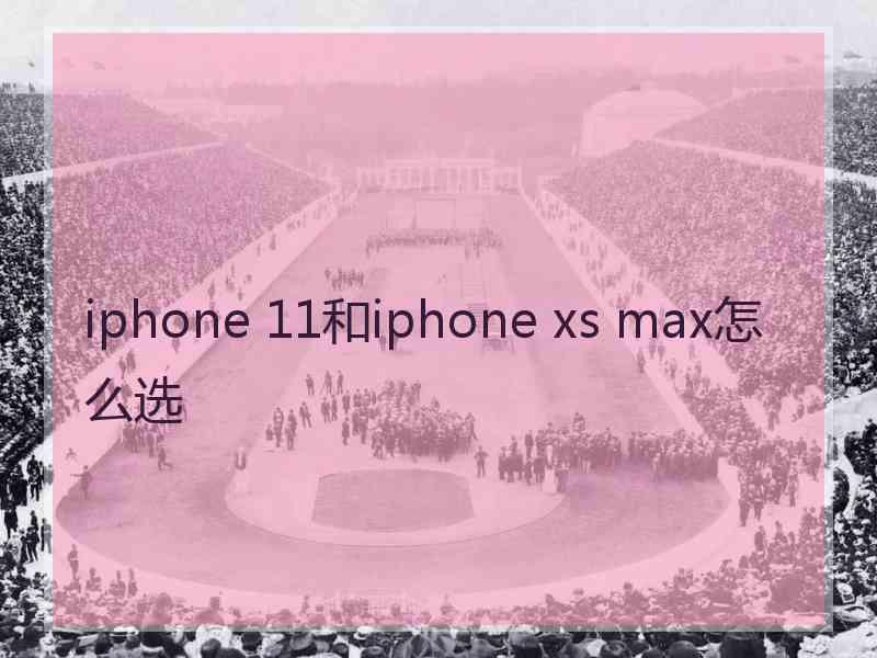 iphone 11和iphone xs max怎么选