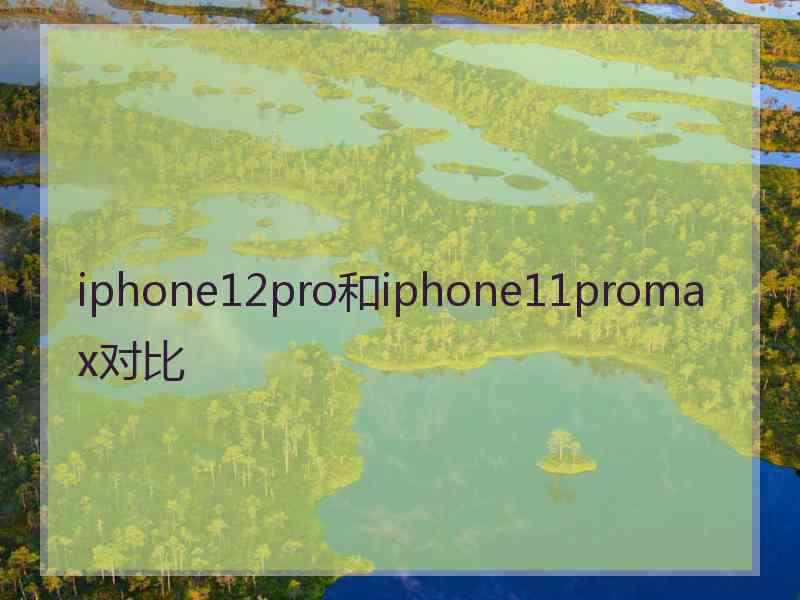 iphone12pro和iphone11promax对比