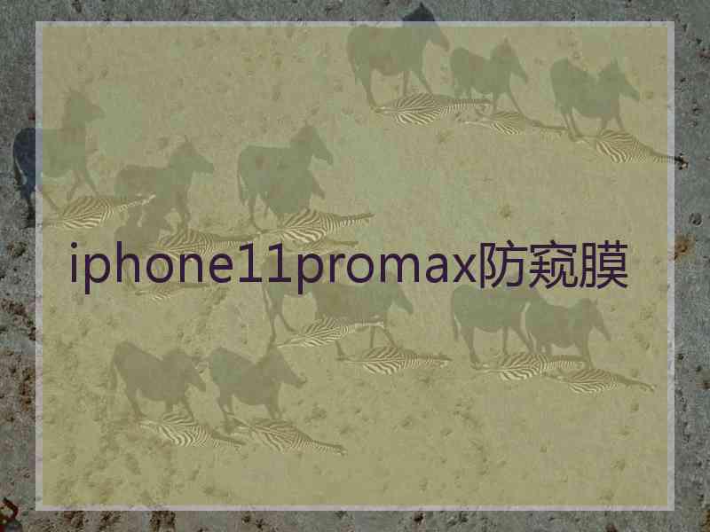 iphone11promax防窥膜