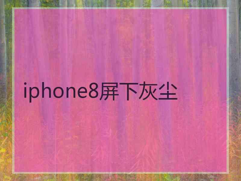 iphone8屏下灰尘