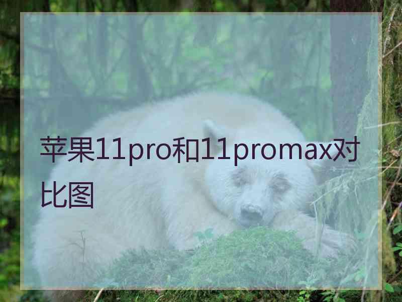 苹果11pro和11promax对比图