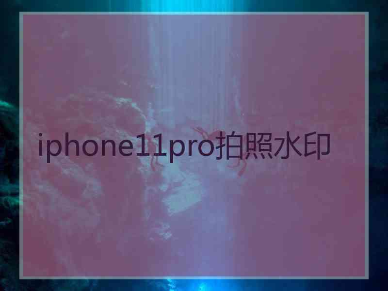 iphone11pro拍照水印