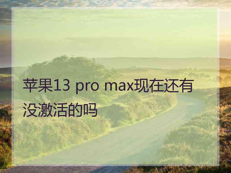 苹果13 pro max现在还有没激活的吗