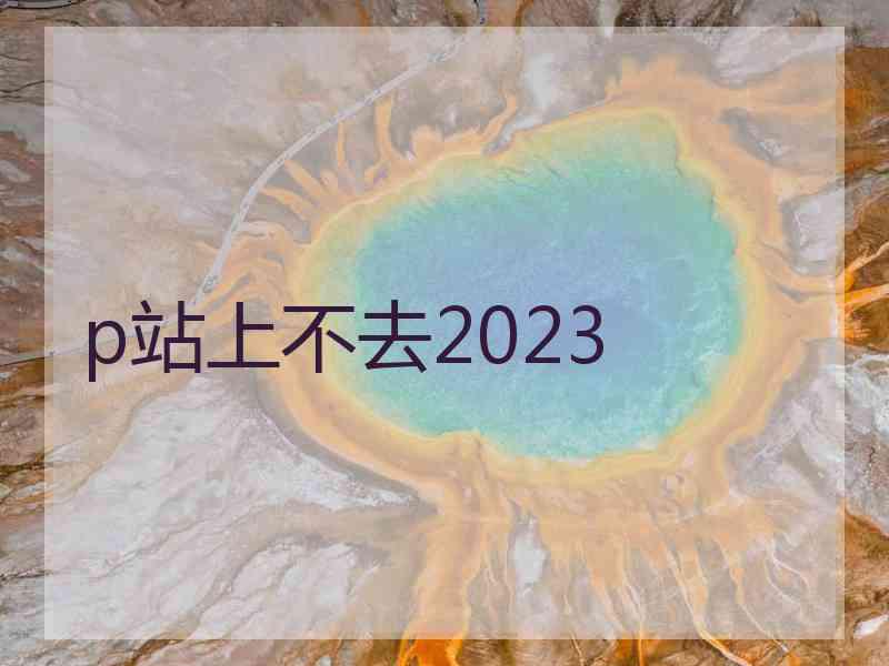 p站上不去2023