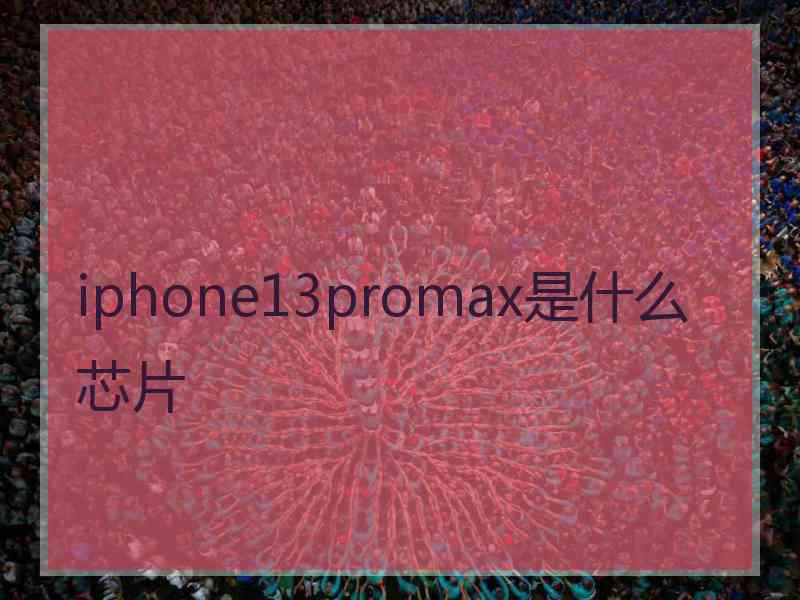 iphone13promax是什么芯片