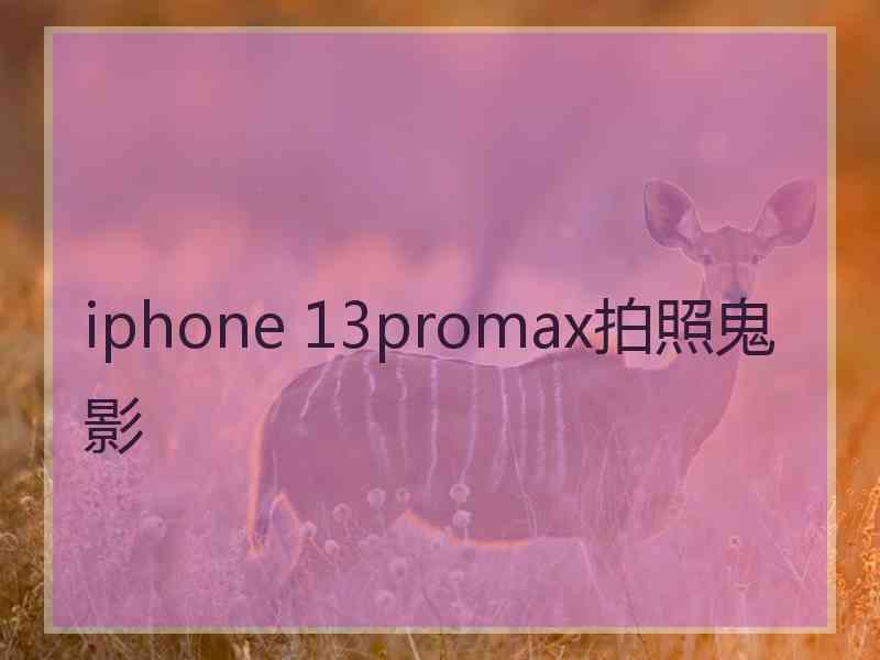 iphone 13promax拍照鬼影