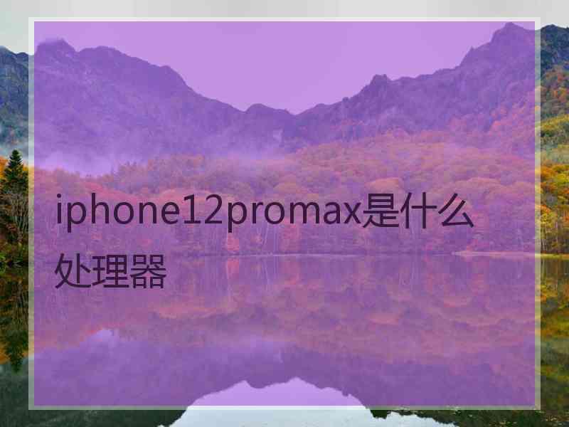 iphone12promax是什么处理器