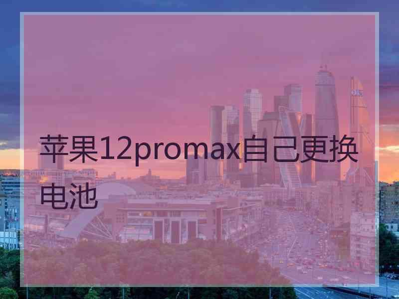 苹果12promax自己更换电池