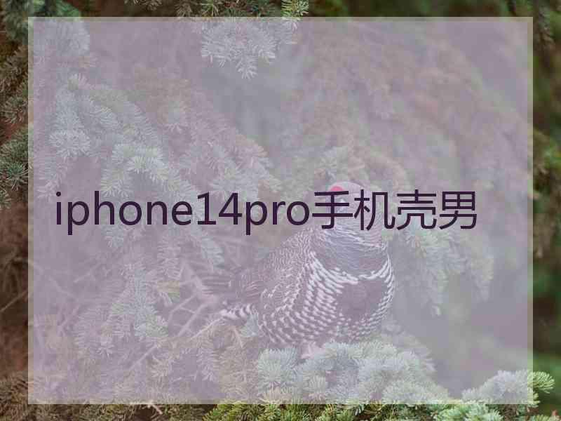 iphone14pro手机壳男