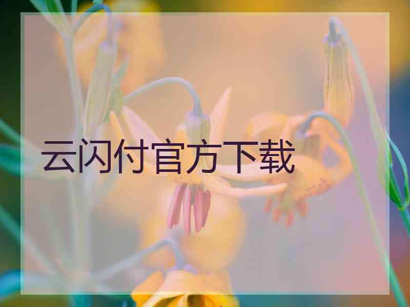 云闪付官方下载