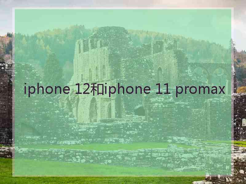 iphone 12和iphone 11 promax