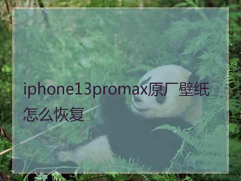 iphone13promax原厂壁纸怎么恢复