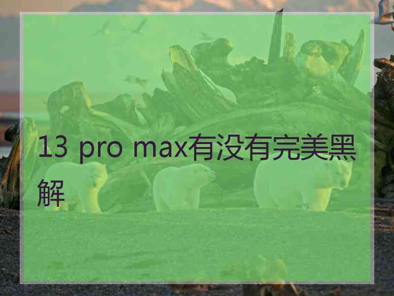 13 pro max有没有完美黑解