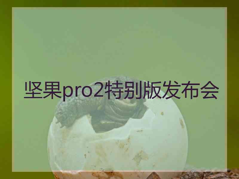 坚果pro2特别版发布会