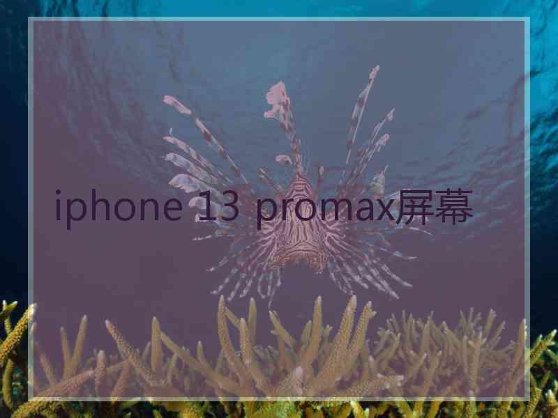 iphone 13 promax屏幕