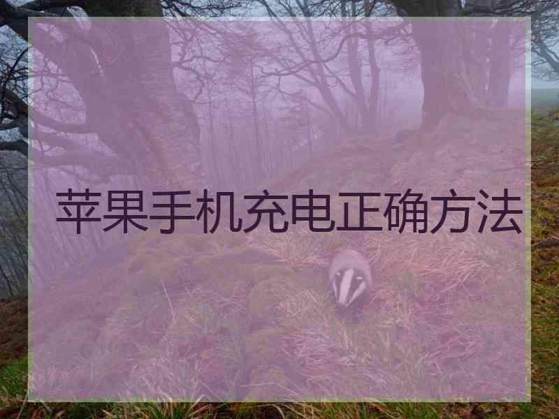 苹果手机充电正确方法