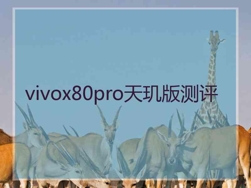 vivox80pro天玑版测评