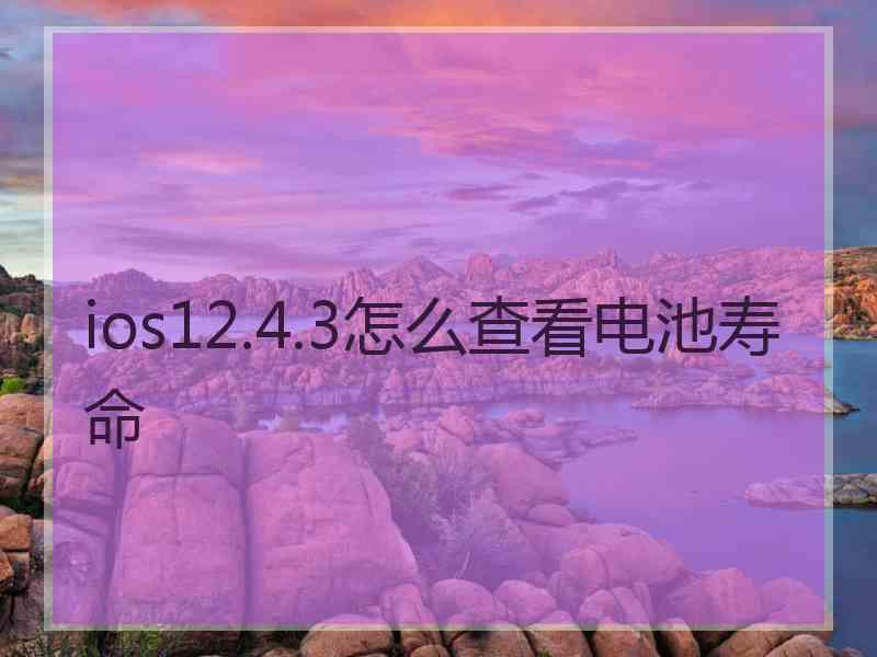 ios12.4.3怎么查看电池寿命