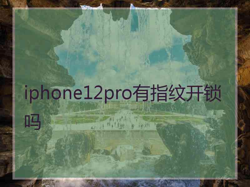 iphone12pro有指纹开锁吗