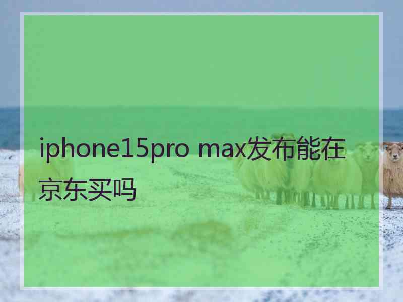 iphone15pro max发布能在京东买吗