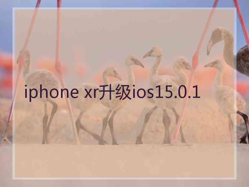 iphone xr升级ios15.0.1