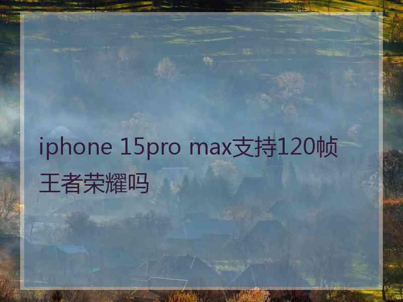 iphone 15pro max支持120帧王者荣耀吗