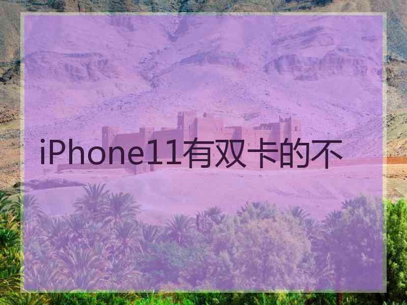 iPhone11有双卡的不